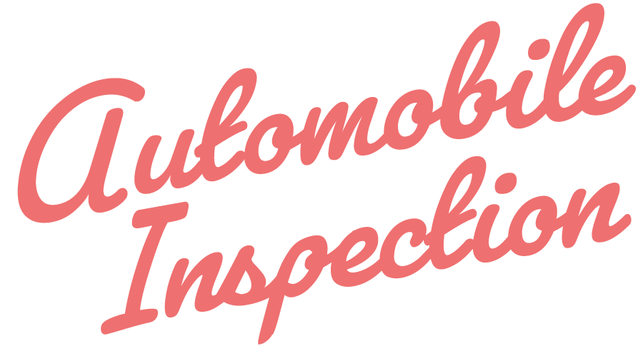 inspection